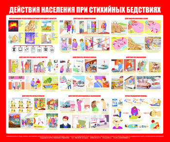 С53 Стенд действия населения при стихийных бедствиях (1200х1000 мм, пластик ПВХ 3 мм, алюминиевый багет золотого цвета) - Стенды - Стенды по гражданской обороне и чрезвычайным ситуациям - Магазин охраны труда ohranatruda-shop.ru